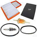 Deluxe Tune Up Kit, G16-G22 4 Cycle Gas